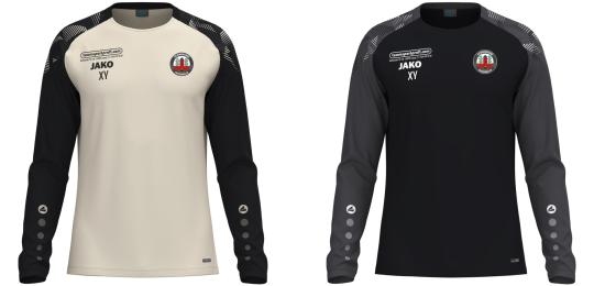 Longsleeve 